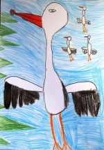 Hvoľková Viktória.jpg